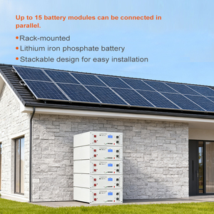 แบตเตอรี่ลิเธียมแบบติดตั้งบนชั้นวางขนาด 100Ah 200Ah 300Ah 48V 51.2v 300Ah ระบบกักเก็บพลังงานแสงอาทิตย์ - Product Image 2