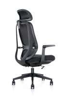 Chaise de bureau à dossier haut chaise de bureau ergonomique chaise d'ordinateur en maille avec appui-tête