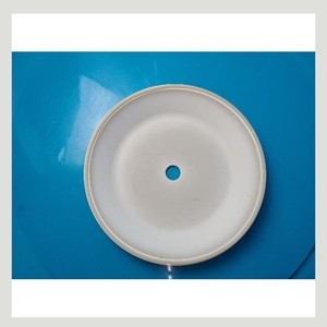 Plaque de couverture en céramique Mattson Paradigm E 1 - Product Image 5