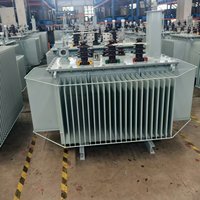 Transformador de Distribución XPLH Sumergido en Aceite 13.2kV 480V 1000kVA IEEE C57.12.00 IEEE C57.12.28 para Conexión a Red Solar