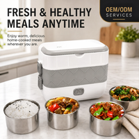 Boîte à lunch électrique multifonction en acier inoxydable 200W, chauffe-plats portable pour adultes, usage domestique et commercial, amovible