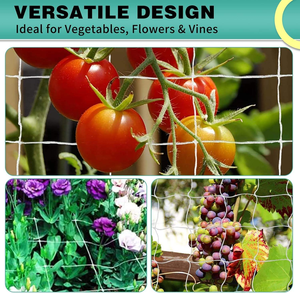 Filet de treillis moderne en PVC pour pois, haricots, tomates, concombres, poivrons, aubergines, courgettes, citrouilles - Utilisation en jardinage - Product Image 4