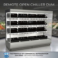 Réfrigérateur commercial multi-étagères à vitrine ouverte, à économie d'énergie, avec rideau de nuit pour légumes et fruits