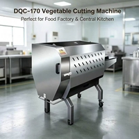Industriële groentesnijmachine DQC-170 SUS304 Automatische kool- en selderijsnijder voor voedselverwerkingslijn