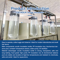 Bac d'élevage de poissons en acrylique, nouveau récipient incubateur à ondes de pression pour œufs de poissons, pour utilisation en élevage de poissons d'ornement