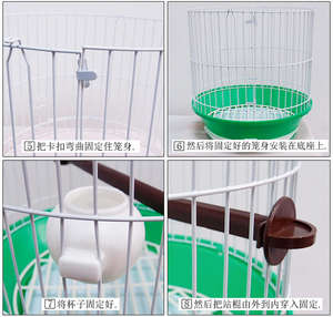 Fabrikant Fokken Chinese Duif Papegaai Vogelkooien Materialen Koop Papegaai Kooien Vogels Metalen Vogelkooi - Product Image 5