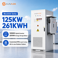 Armoire de stockage extérieure Sunark CE 261 kWh avec batterie LiFePO4 BESS et onduleur hybride 125 kW pour la gestion énergétique des parcs industriels