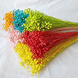 Fournitures de <span class=keywords><strong>fleuriste</strong></span> de haute qualité, fleurs séchées naturelles, fraîches et éternelles, haricots de jequirity, perles en désordre, pour la décoration de la maison - Product Image 5