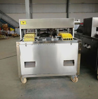 Machine automatique de dénoyautage de fruits Machine de dénoyautage d'extrait de graine de datte de pin
