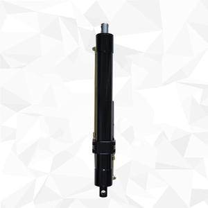 Dispositifs de levage à actionneur hydraulique/électrique DC sur mesure Manipulateur électrique pour la manutention, l'empilage et le levage - Product Image 2