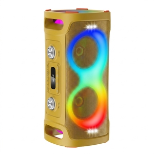 Haut-parleurs Bluetooth portables à son réglable, réduction de bruit intégrée, basses améliorées, charge USB, puce audio haute fidélité - Product Image 1