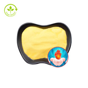 Beneficios para la salud Coenzima <span class=keywords><strong>Q10</strong></span> Suplemento en polvo - Product Image 1