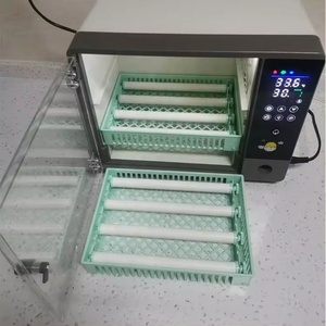 जिताई को पूरी तरह से स्वचालित 24 अंडे मिनी अंडे के इनक्यूबेटर की दोहरी शक्ति 24 अंडे इनक्यूबेटर की बिक्री - Product Image 5