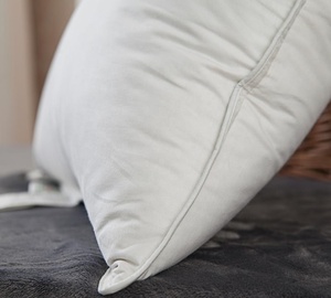 Best Selling 100 Cotton <strong>Feather</strong> <strong>Cushion</strong> <strong>Inserts</strong> Inner - Product Image 2