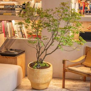 Giardino esterno arrugginito in calcestruzzo fioriera paesaggio cibo di base forniture per giardinaggio - Product Image 5