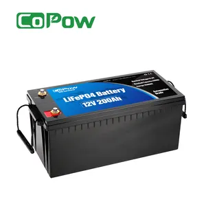 CoPoW 12V 24V 36V 48V 60V 72V 100Ah 200Ah 300Ah Lifepo4 batteria al litio per camper/barche