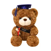 Dr. Bears Graduation Teddy Bear Doll for Children