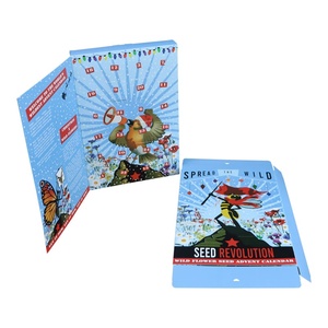 Custom CMYK Printing Hot Sale <strong>Advent</strong> <strong>Calendar</strong> Box with Corrugated Insert for WILD FLOWER <strong>SEED</strong> Packaging - Product Image 2