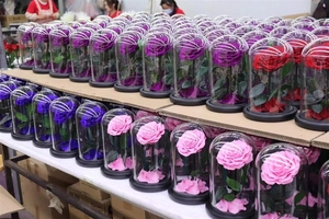 Rose Eterne Preservate Incantate in Cupola di Vetro con LED - Product Image 6