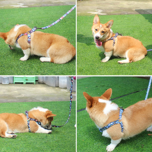 Harnais et laisse pour chien, en polyester, pour chiens de petite et moyenne taille, pour la promenade et l'entraînement en extérieur - Product Image 1