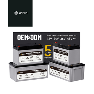 Batería de iones de sodio personalizada de baja temperatura Wiren, batería de arranque de 12V 24V 48V 200Ah 300Ah IP65, soluciones personalizadas para vehículos recreativos y marinos - Product Image 1