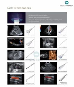 C60 perangkat Ultrasound medis elasografi 5D 4D kelas tinggi USG untuk MSK cardologi perut warna <span class=keywords><strong>Doppler</strong></span> instrumen Ultrasound - Product Image 5