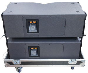 Enceinte portable à ligne acoustique à deux voies de 12 pouces, 800 W, néodyme, étanche, contrôlée par application, pour les soirées DJ - Product Image 1
