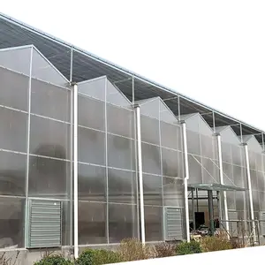 Chinese greenhouse suppliers Greenhouses manufacture greenhouse agricultural