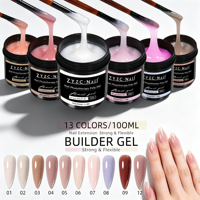 ZYZC HEMA TPO Free 100g Pot 13 Couleurs Gel Dur UV LED Soak Off pour Extension d'Ongles Vente en Gros Livraison Rapide Faible MOQ