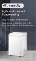 Congélateur coffre vertical 48L, autonome, à froid direct, électrique, OEM/ODM, pour usage domestique, hôtelier et commercial RCRF-48Q