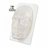 Modelo Facial Transparente para Inyecciones Viales y Nerviosas, para Entrenamiento de Vasos Sanguíneos, Modelo Facial Médico y Cosmético