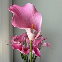 Grandes fleurs artificielles de lys calla en EVA, couleur rose, toucher réel, vente en gros, décoration pour mariage et Saint-Valentin, fleurs douces faites à la main