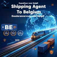 Agent maritime, Chemin de fer belge, Bruxelles Sud, Aéroport de Charleroi, Service de fret aérien international, Livraison par coursier