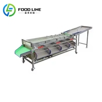Sorteermachines voor fruit en groenten op maat, in de categorie appel, met automatische sortering en kwaliteitsclassificatie.