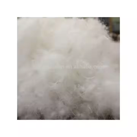 Vente en gros de duvet d'oie blanche super doux 90% lavé à vendre duvet d'oie en vrac