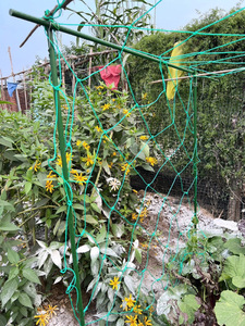 Treillis de jardin, <span class=keywords><strong>support</strong></span> tubulaire pour plantes, treillis pour concombres, <span class=keywords><strong>support</strong></span> pour légumes, poteau de soutien pour fleurs, étagère de jardinage, <span class=keywords><strong>support</strong></span> pour plantes grimpantes - Product Image 3