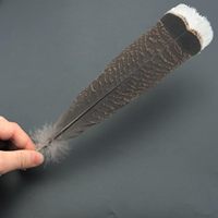 En gros pas cher sauvage Barred dindon queues aile plume plume pour mouche attachant artisanat indien coiffure décorations