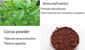 <span class=keywords><strong>Para</strong></span> IASO Envío rápido Té de hierbas instantáneo orgánico natural Embolsado Colon Laso Tea Powder Health Tea Specialty - Product Image 6