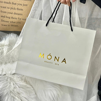 Sacs en papier personnalisés de vente directe d'usine pour votre propre logo Sacs en papier d'emballage cosmétiques de luxe estampillés à chaud