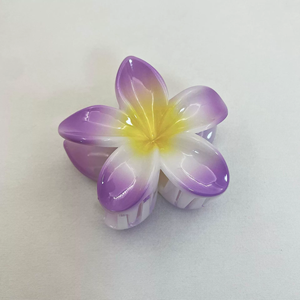 2025 yeni tasarım Bauhinia kapmak klip tatil sıcak yan kapmak saç tokası geri kafa köpekbalığı klip saç aksesuarları HAC - 020 - Product Image 4