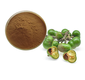 Camellia Sinensis種子エキス65% 粉末ハーブエキストップグレード2年ブラウンパウダークールドライプレイス人工植栽 - Product Image 3