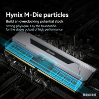 NWE BIWINRAM DDR5 HX100 16G * 2 mhz UDIMM NonECC A-die وحدة أصلية أصلية أصلية