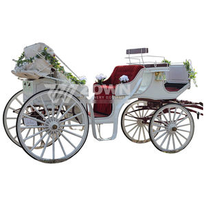 Outdoor Speciaal Vervoer Vierwielige Koninklijke Paardenwagen Elegante Vrije Tijd Hoge Kwaliteit Reis Elektrische Paardenwagen - Product Image 2