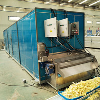 Nouvelle ligne de production automatique de frites à haute productivité de 100 kg/h, 200 kg/h, 300 kg/h, 500 kg/h, 1000 kg/h