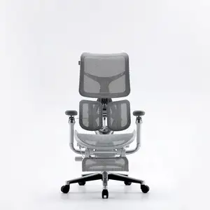 Sihoo New Design AU-1 Luxury Adjustable Full Mesh Ergonomic Office Chairs