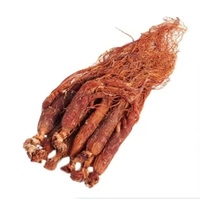 Extrait de Ginseng Rouge en Stock Usine 20%-30% Ginsénosides pour la Transformation de Matières Premières Alimentaires
