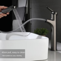 Robinet de lavabo extractible gris anthracite en acier inoxydable 304, mitigeur à poignée unique avec cartouche céramique pour salle de bain et chambre