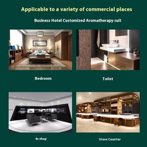 Grand Diffuseur d'Huiles Essentielles 500ML Effet Feu Supplément de Parfum d'Aromathérapie Désodorisant Écologique Spécial pour Hôtel - Product Image 4