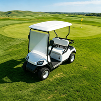 Voiturette de golf électrique 1-2 places 48V 100A 150A 200A avec batterie au lithium, sûre et stable, idéale pour les terrains de golf et les villas