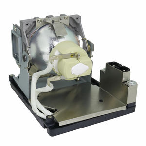 Lampe de projecteur PolyVision 2002031-001, lampe nue avec support pour usage professionnel et éducatif - Product Image 3